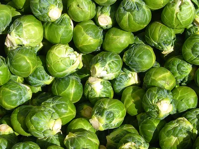 brussels sprout