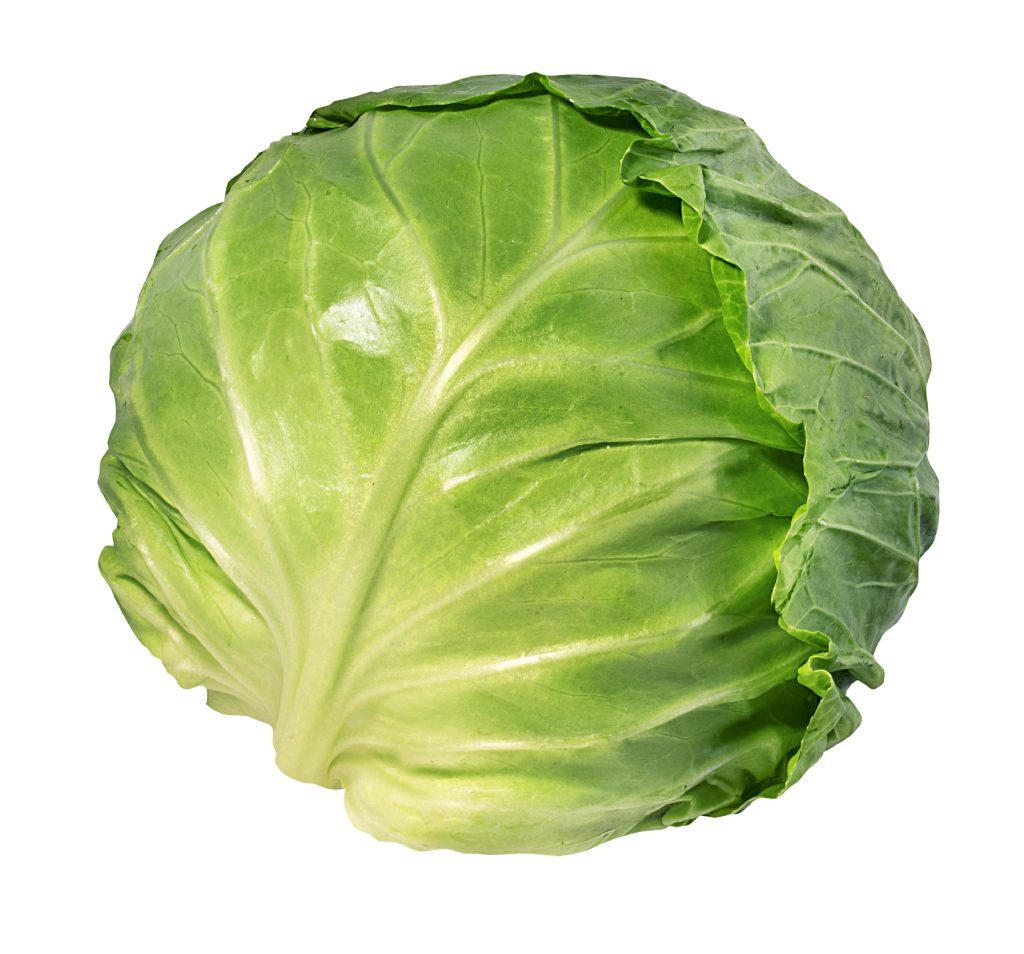 cabbage