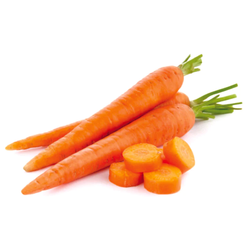 carrot