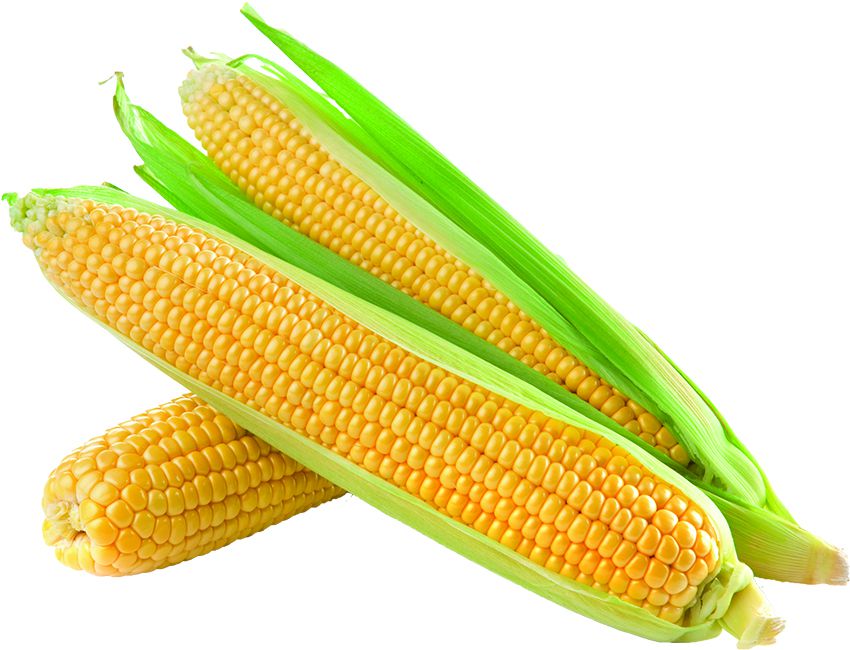 corn