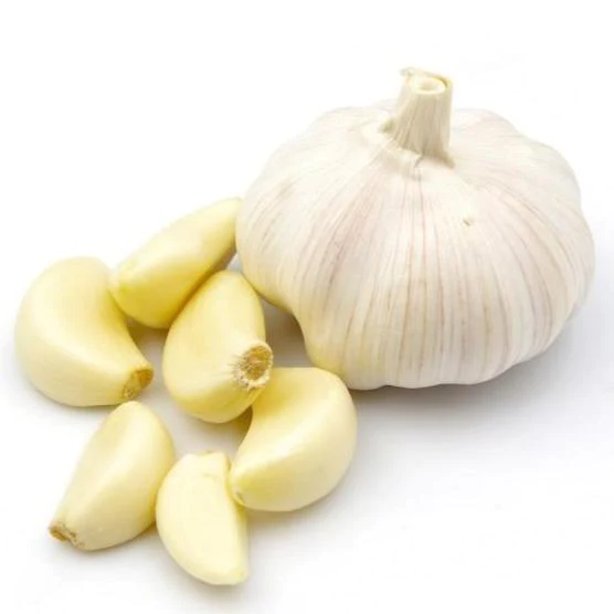 garlic