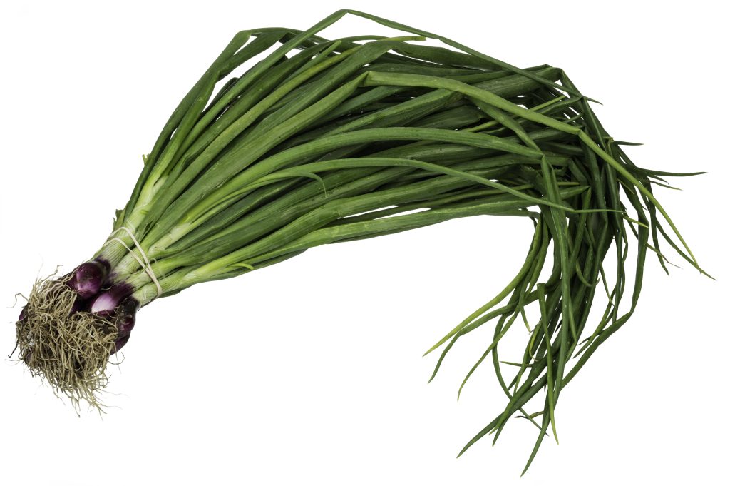 green onion