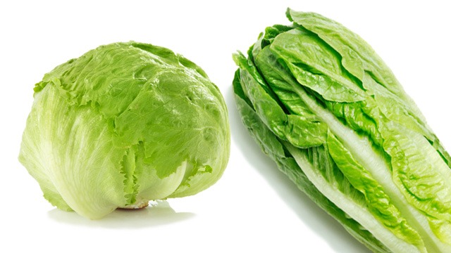 iceberg lettuce