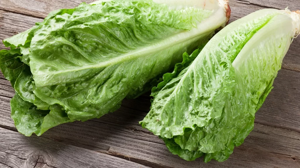 lettuce