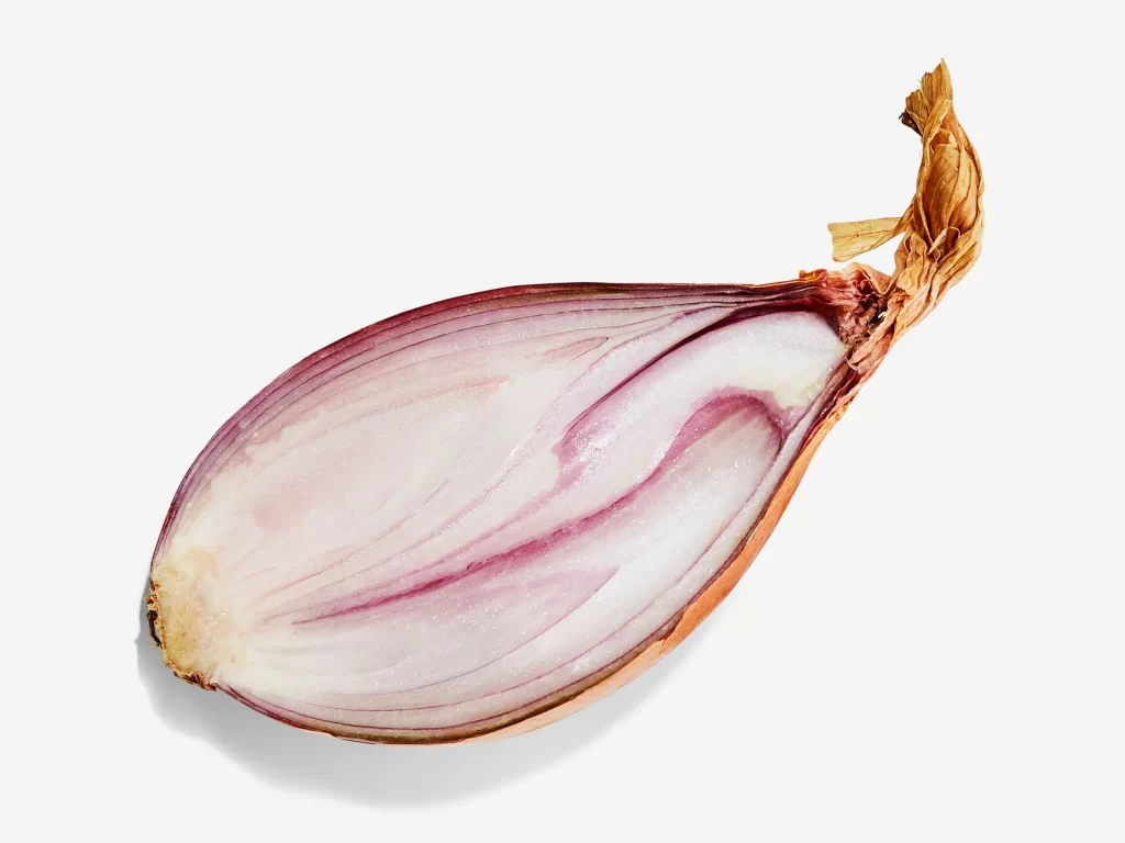 shallot