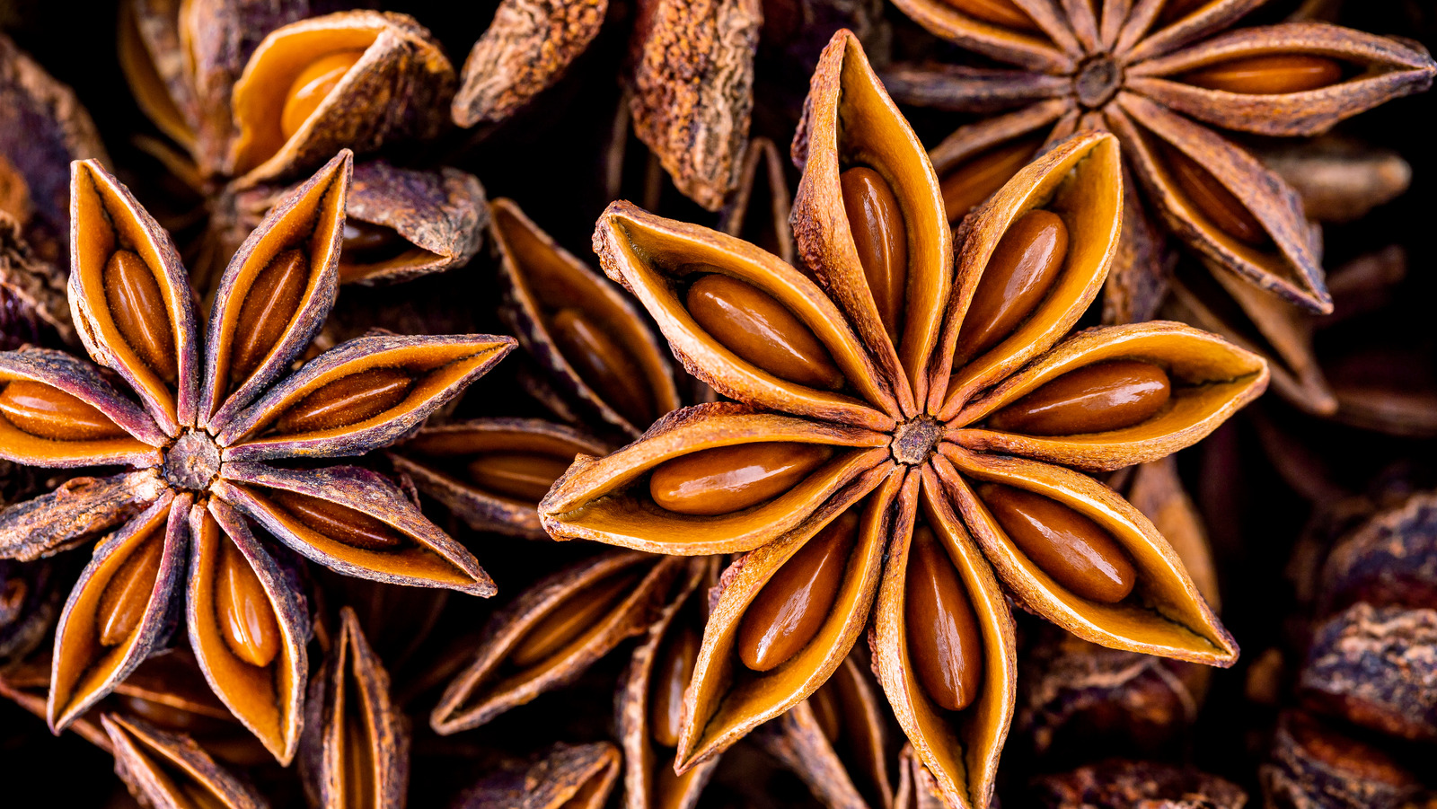 Chinese,Star,Anise,Close,Up,Background ,Dried,Star,Anise,Spice