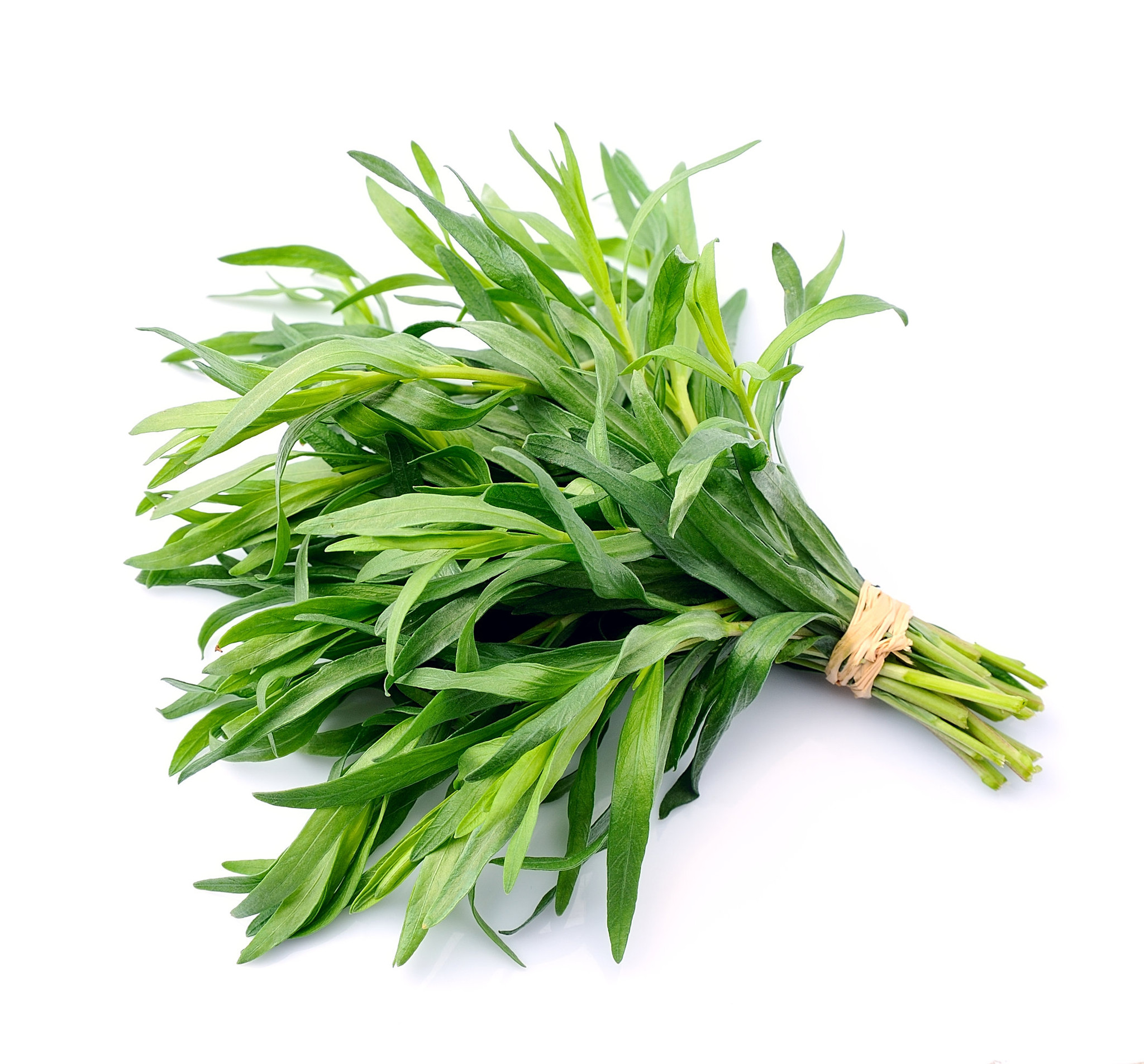 tarragon