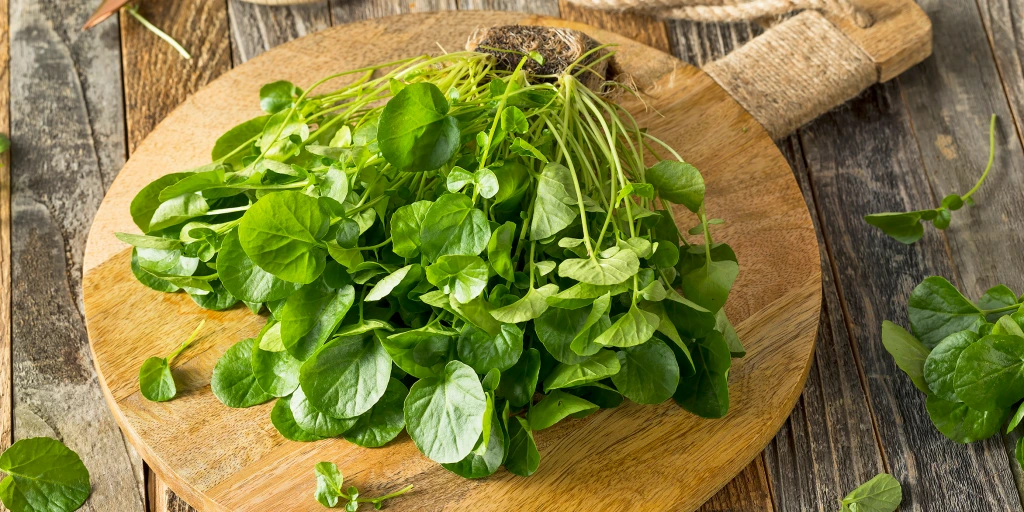 watercress