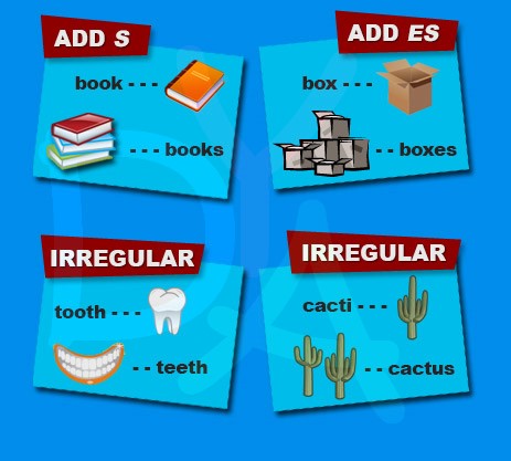 plural nouns