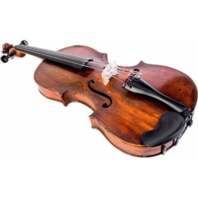 violin