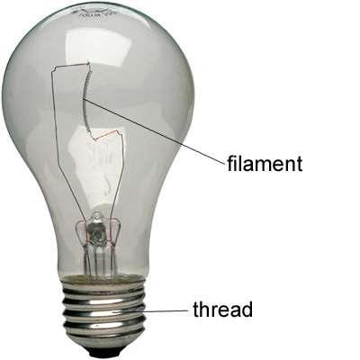 bulb